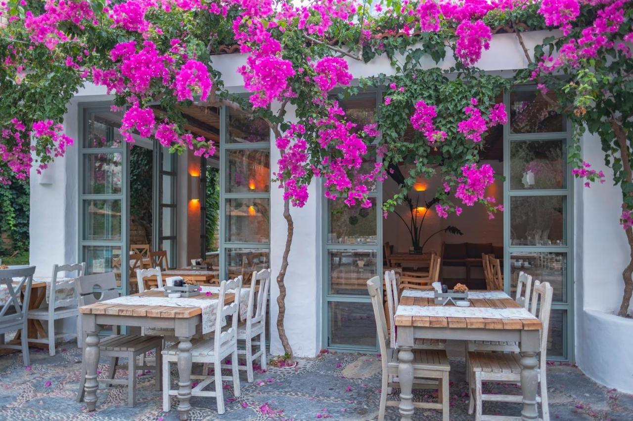 Flamingo Hotel & Spa - Pet Friendly Oludeniz Exteriér fotografie
